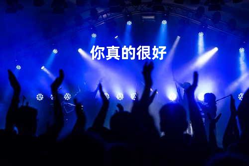 你真的很好