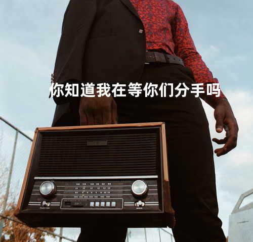 你知道我在等你们分手吗?