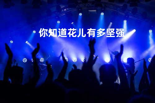 你知道花儿有多坚强