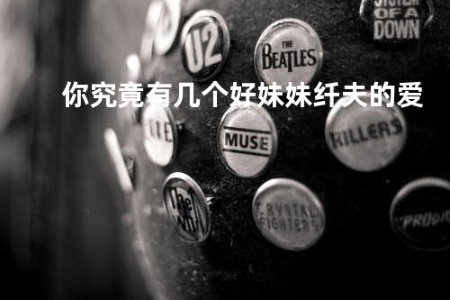你究竟有几个好妹妹+纤夫的爱