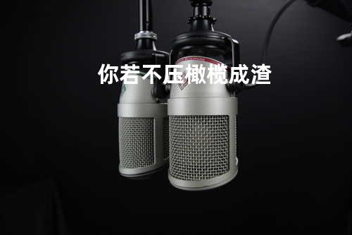 你若不压橄榄成渣