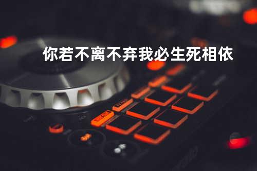你若不离不弃我必生死相依