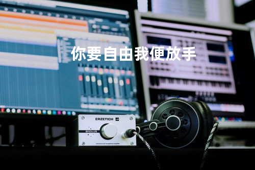 你要自由我便放手