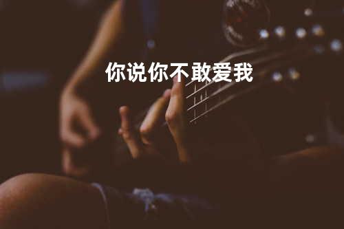 你说你不敢爱我