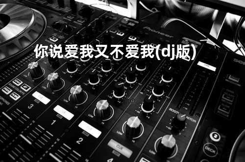 你说爱我又不爱我(dj版)