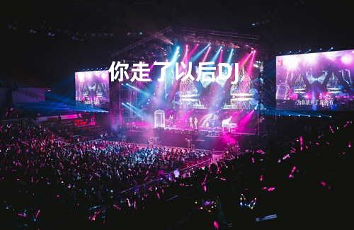 你走了以后 DJ