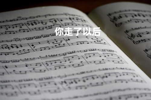 你走了以后