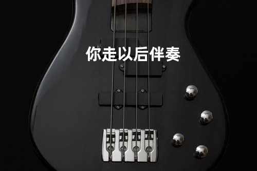 你走以后 伴奏