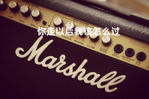 你走以后我该怎么过