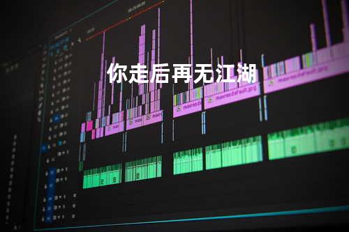 你走后再无江湖