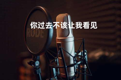 你过去不该让我看见