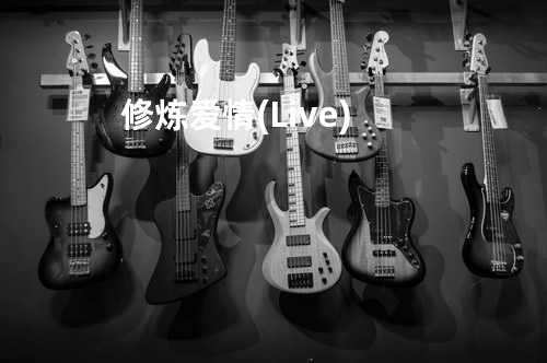 修炼爱情(Live)