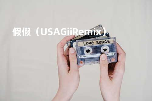 假假(USAGii Remix)