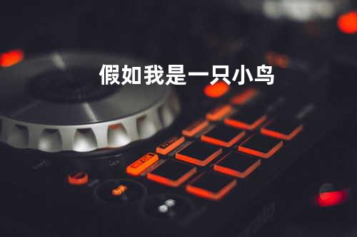 假如我是一只小鸟