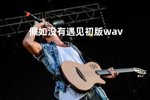 假如没有遇见初版.wav