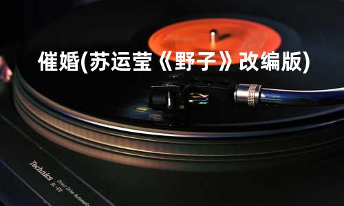 催婚-(苏运莹《野子》改编版)