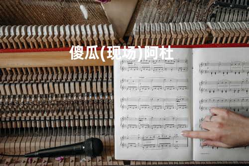 傻瓜(现场) - 阿杜