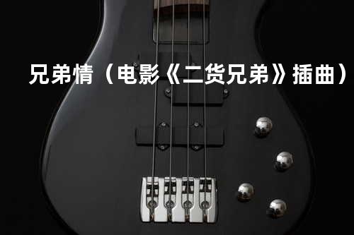 兄弟情(电影《二货兄弟》插曲)