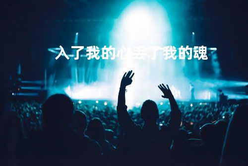 入了我的心丢了我的魂