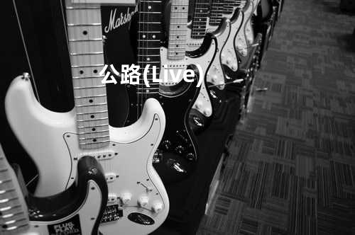 公路(Live)