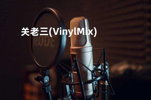 关老三 (Vinyl Mix)