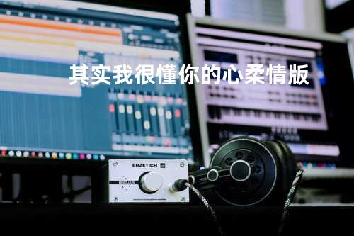 其实我很懂你的心柔情版