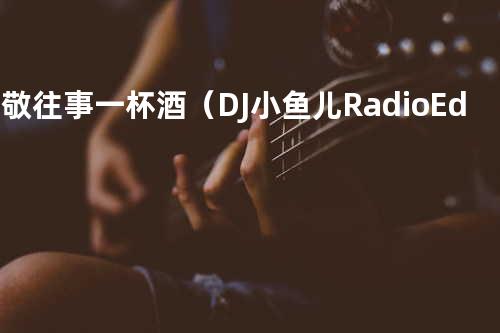 再敬往事一杯酒(DJ小鱼儿Radio Edit)