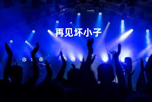 再见坏小子
