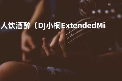 几人饮酒醉(DJ小桐 Extended Mix)