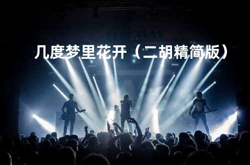 几度梦里花开(二胡精简版)