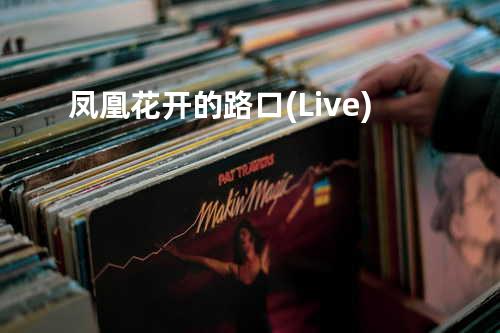 凤凰花开的路口 (Live)