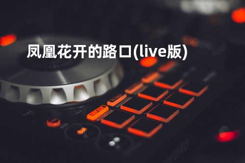 凤凰花开的路口(live版)