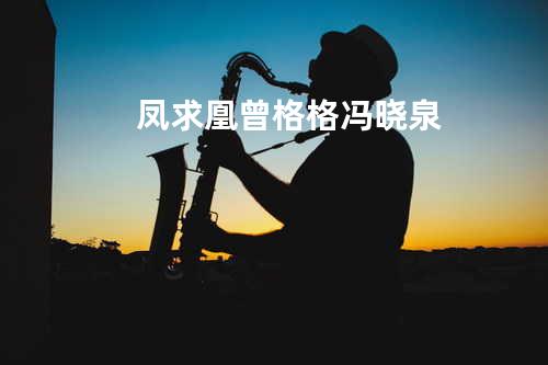 凤求凰 - 曾格格&冯晓泉