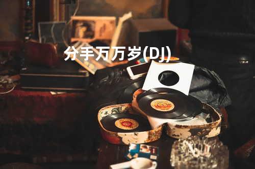 分手万万岁(DJ)