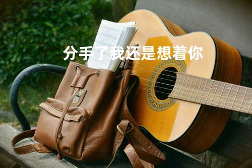 分手了我还是想着你