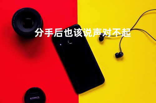 分手后也该说声对不起