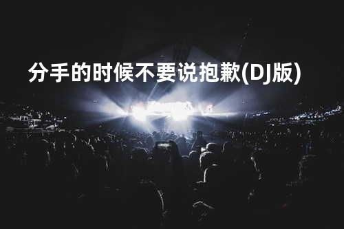 分手的时候不要说抱歉 (DJ版)