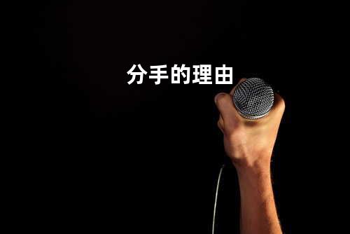 分手的理由