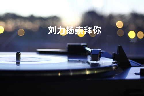 刘力扬-崇拜你