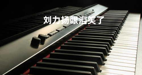 刘力扬-眼泪笑了