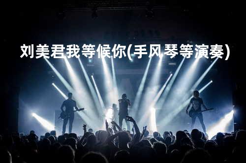 刘美君-我等候你(手风琴等演奏)