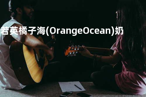 刘若英 / 橘子海 (Orange Ocean)-奶 茶 橘 子 海(阿追 remix)