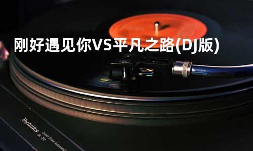 刚好遇见你VS平凡之路 (DJ版)