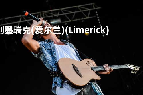 利墨瑞克 (爱尔兰) (Limerick)