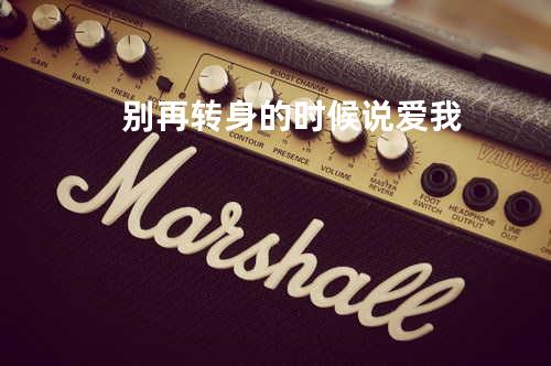 别再转身的时候说爱我