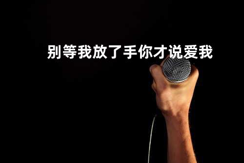 别等我放了手你才说爱我