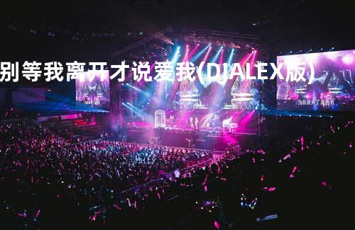 别等我离开才说爱我 (DJ ALEX版)