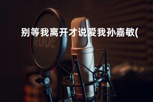 别等我离开才说爱我 孙嘉敏(