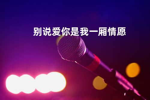 别说爱你是我一厢情愿