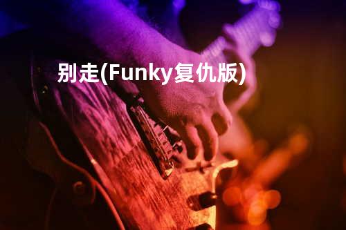 别走 (Funky复仇版)